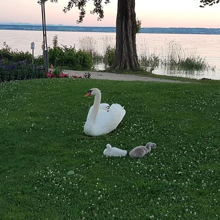 Malvelyns Am Bodensee Immenstaad am Bodensee Exterior foto